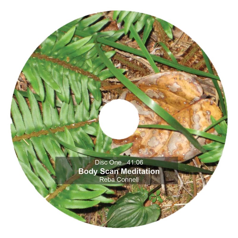 CD with ferns